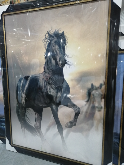 картина в раме  50х70 см Freedom