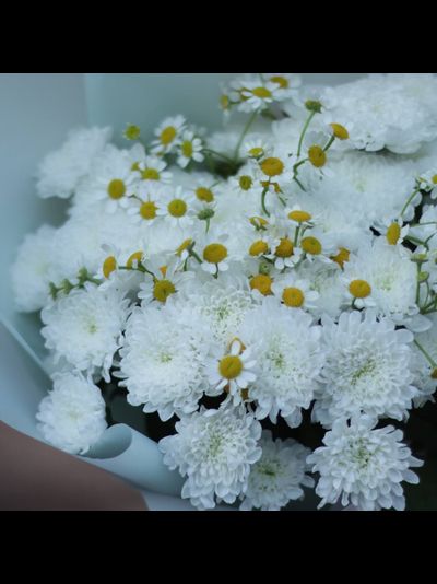 Букет из кустовой хризантемы и ромашек