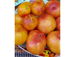 Томат Лаки Кросс (Lucky Cross), Канада