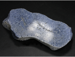 Коралл голубой Акори, Австралия (72*37*10 мм, 44 г) №37706