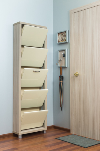 Обувница Айрон-5 Люкс (фасад стекло Капучино)