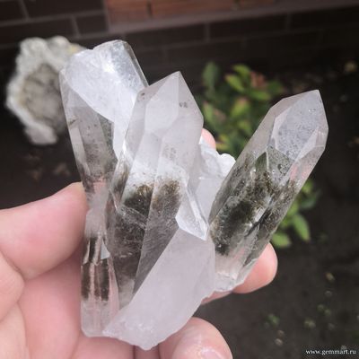 Горный хрусталь (разн. кварца) с хлоритом. Бразилия. 100*50*94мм