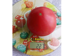 Томат Кардио