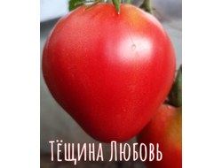 семена томаты "Тёщина любовь" 10 шт.