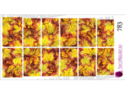 Слайдер-дизайн 783 - Осенние желто-багровые листья клена