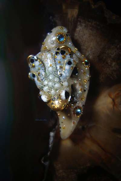 Мини-брошь с жемчугом и крылатой лягушкой "Царская бабочка, Дивная Зоренька"