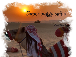 Super buggy safari from Sharm El Sheikh