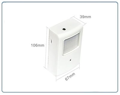 Охранная IP WiFi-LAN видеокамера с ночным видением и аудиоканалом (корпус ИК датчика), встроенный DVR. HD