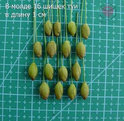 "Шишки туи" Силиконовый молд