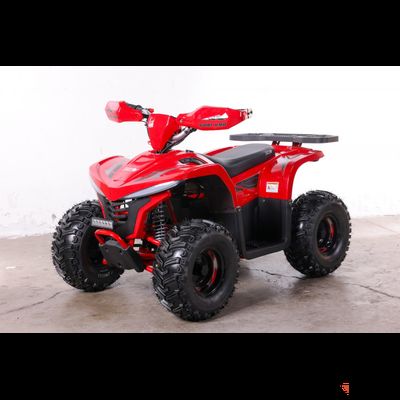 Квадроцикл GreenCamel Gobi K90 (42Ah 48V 750W R7 Дифф) LUX Bluetooth Красный