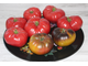 Роза из Айербе (Rosado de Ayerbe)