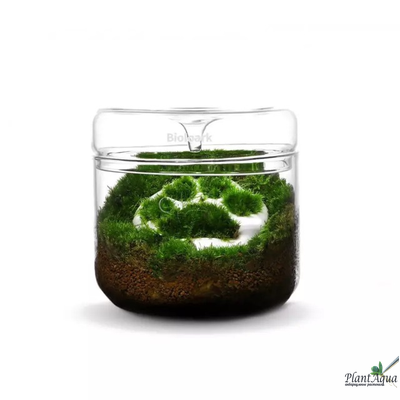 Чаша Лудзи Biolark MY-180 (180мм х 200мм)