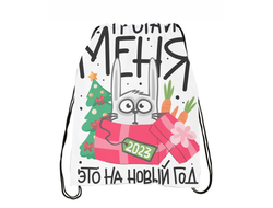 Сумка-мешок для обуви год Кролика №26