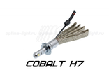 Optima LED Premium Cobalt H7 9-36V