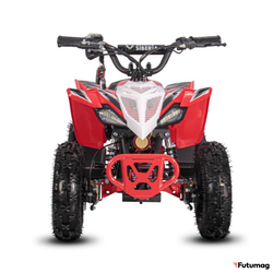 Электроквадроцикл WHITE SIBERIA SNEG LETO R 1000W Красный