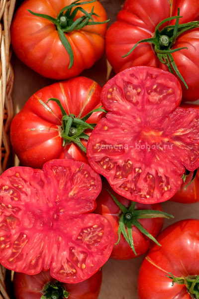 Томат Arnaldo (Арналдо), 10 шт