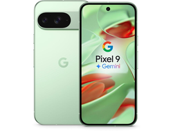 Google Pixel 9 12/128Gb Wintergreen