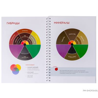 Рабочая тетрадь "Колористика EtalonMix"