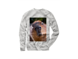 Свитшот Капибара, Kapibara-san №14