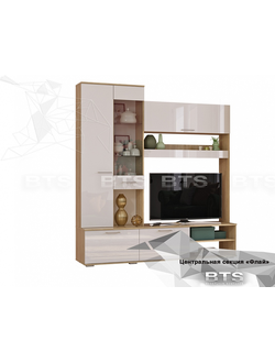 Флай ЦС-01 гостиная центральная секция