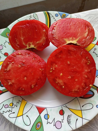 Томат Украинская Алена (Olena Ukrainian)