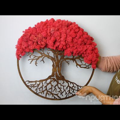 ЖИВАЯ ЭКО-КАРТИНА 1023