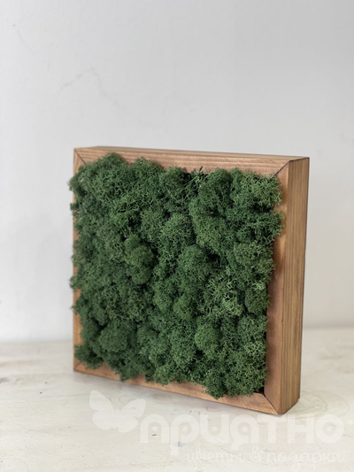 ЖИВАЯ ЭКО-КАРТИНА 1064