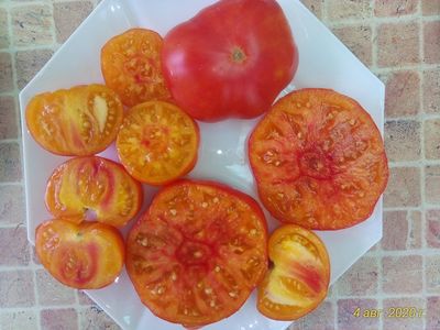 Томат Гном Удивительный (Dwarf Awesome, США, Австралия)