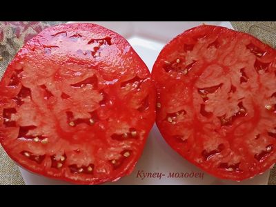 Томат Купец молодец