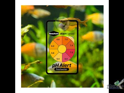 Seachem pH Alert -  тест на pH для пресноводного аквариума, пролонгированного действия