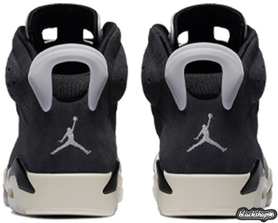 Nike Air Jordan 6 Tech Chrome (40-45)