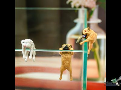 SwetAqua DOG 02 Мопс подглядывающий - Декорация на край стекла аквариума