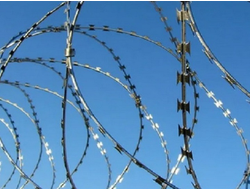 СББ Егоза 600/3 (4 витка на полг.м) купить от завода | ГОРЗАБОР