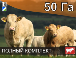 Электропастух СТАТИК-3М для КРС на 50 Га - Удержит даже самого наглого быка!