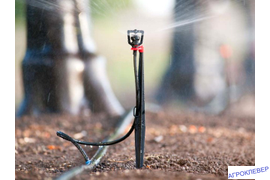 Микродождевание