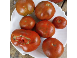 Томат Лавандовое озеро (Lavender Lake)