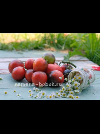 Томат Темная Галактика, 10 шт