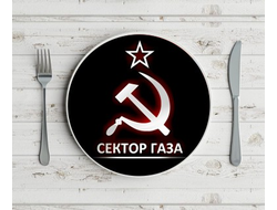 Тарелка Сектор Газа, Юрий Хой №12