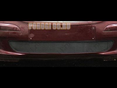 Защита радиатора Mercedec-Benz A-Klass II (W169) 2004-2007 black