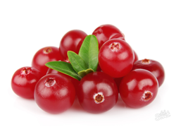 Клюква свежая 500гр