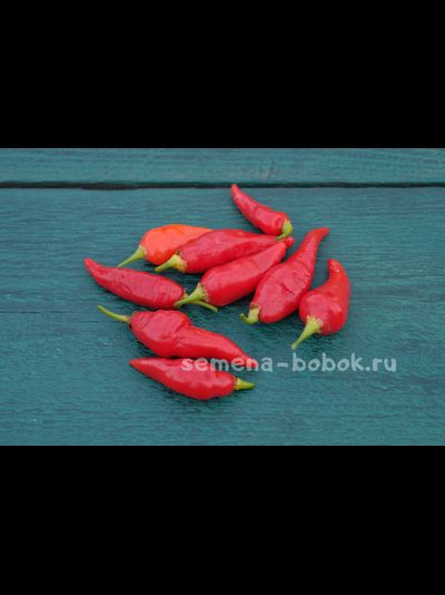 Перец Острый  Turks Cap, 10 шт