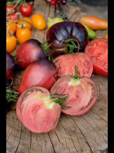 Томат Вишневый Сироп, 10 шт