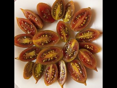 Томат Эмалия (Emalia) Франция