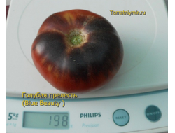 Томат Голубая прелесть (Blue Beauty), США