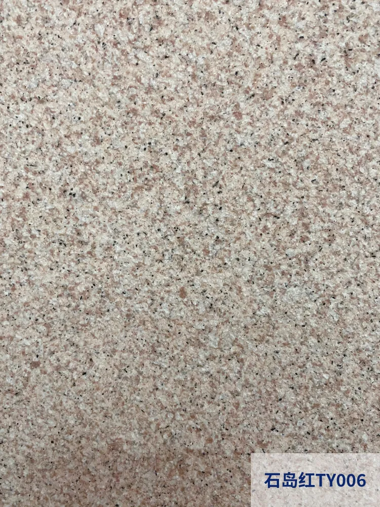 TY006