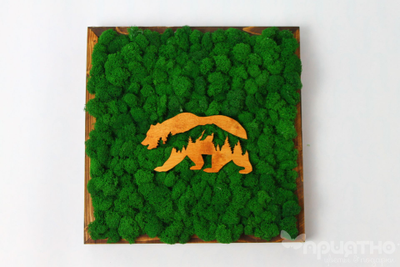 ЖИВАЯ ЭКО-КАРТИНА 1028