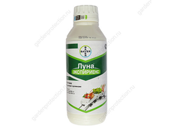 Луна экспириенс