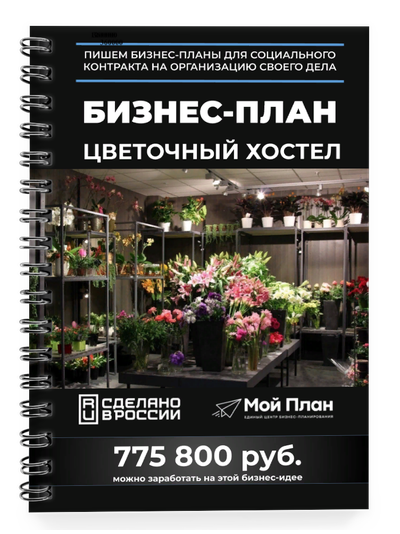 Бизнес-план для социального контракта. Ниша: Цветочный хостел