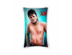 Подушка Сектор Газа, Юрий Хой №34