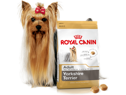 Корм для собак Royal Canin  Йоркширский терьер для здоровья кожи и шерсти 3 кг